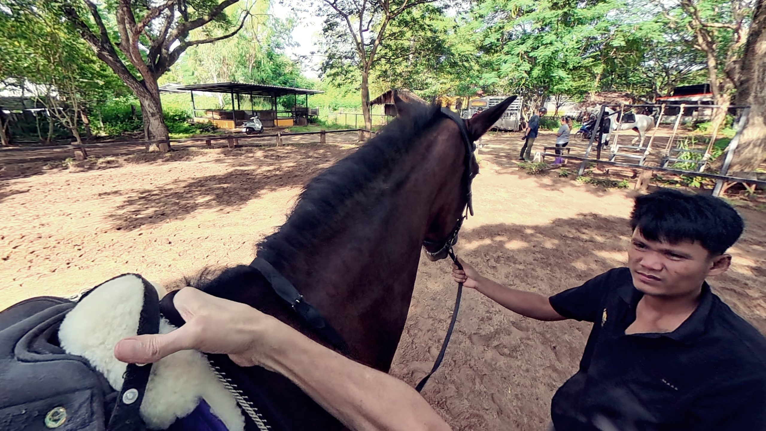 The Pre-Mount Protocol: Ten Technical Checks Before the Saddle